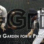 Preparing your garden for a permanent structure Featured Image