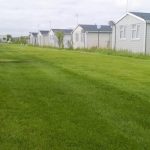 Sowing a new lawn when and how featured image