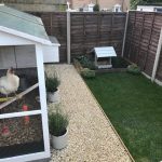 Grass Protection Mesh Next To A Chicken Coop