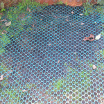 Dog Grass Mesh Featured Image