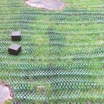 Grass Protection Mesh Featured Image