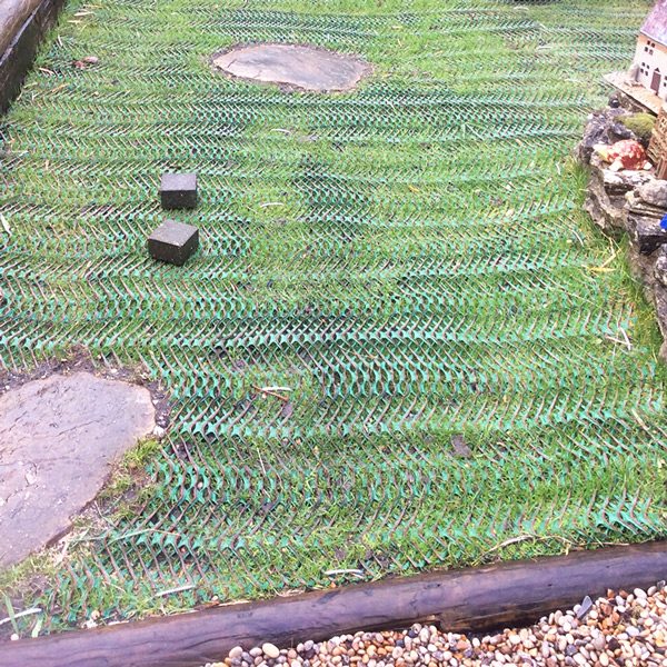 Grass Reinforcement Mesh Work