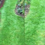 Lawn-Edging-Plank-Featured-Image