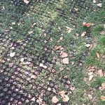 London Zoo Grass Mats - Featured Image