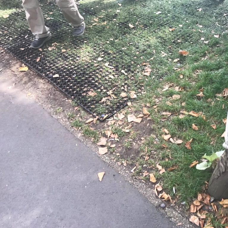 London Zoo Using Grass Mats To Create Standing Area For Shows