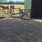 Rubber-Grass-Mats-in-Equestrian Yard--Featured Image