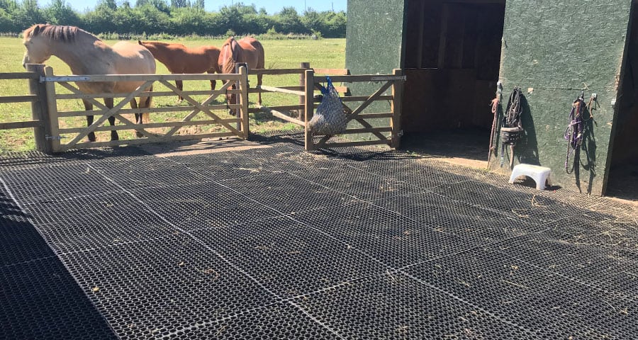 Rubber-Grass-Mats-in-Equestrian Yard--Featured Image