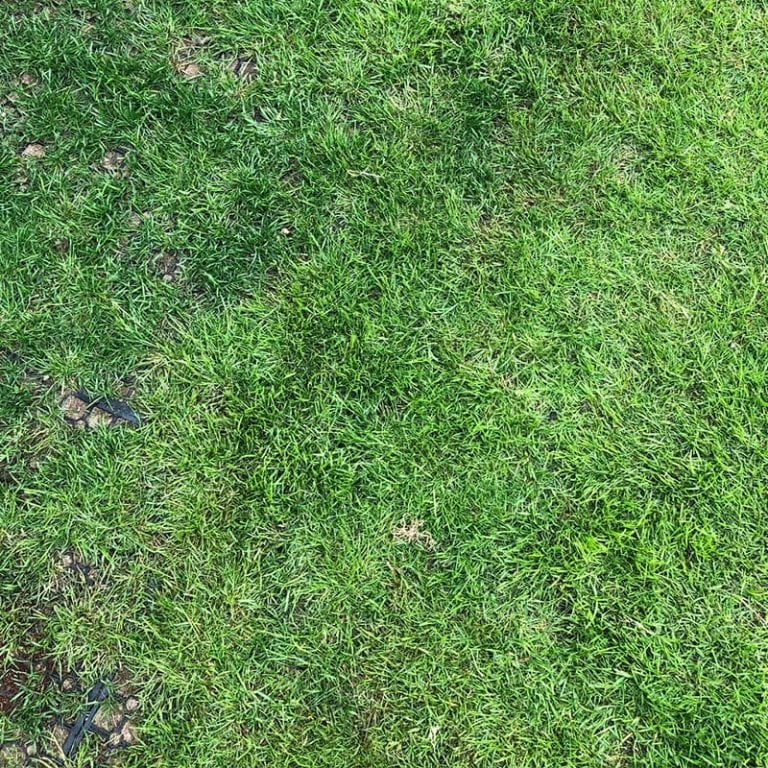 Rubber grass mats: conclusion