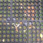 Everything About Rubber Grass Mats - Featured Image