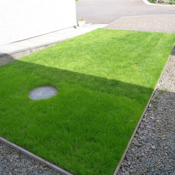 X-Grid Green - Grass Grid