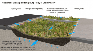 SuDS Project - Rain garden